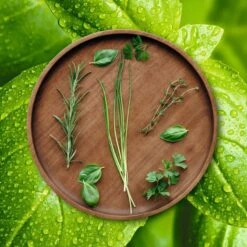 ASA Selection Pizzabord / Onderbord Wood ø 30 Cm -Goedkope Kook Pret Winkel grande wood holzteller kraeuter 2 2